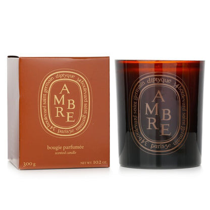 Diptyque Ambre Scented Candle 300g