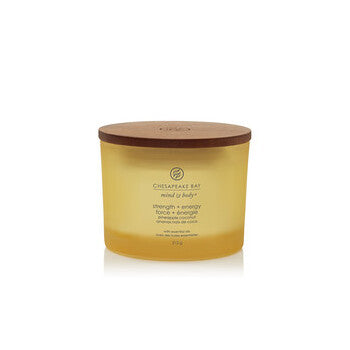 Chesapeake Bay Strength & Energy Candle (three Wicks) 312.0g