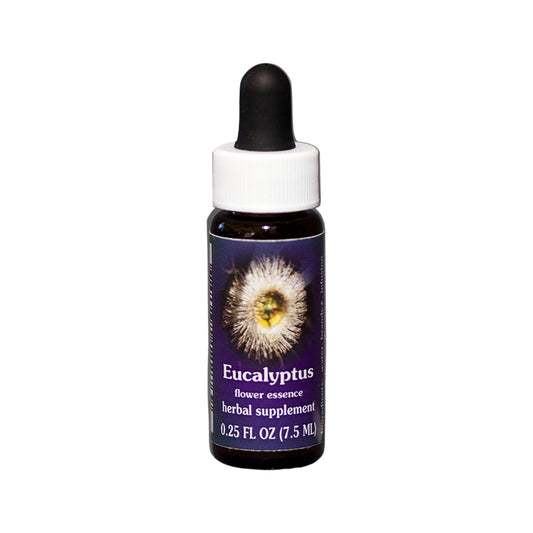 FES Organic Research Flower Essence Eucalyptus 7.5ml